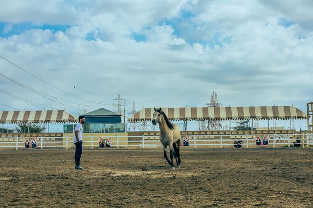 Horse shown to the crowd in an empty arena