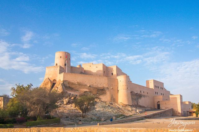 Hilltop fort in full daylight with palms below the walls
