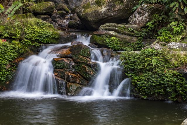 Twin falls running down a moss-covered rock face