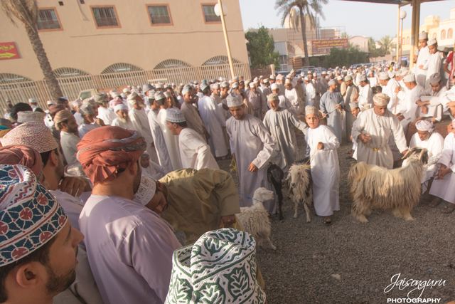 Traders and goats filling the street at the Friday livestock market